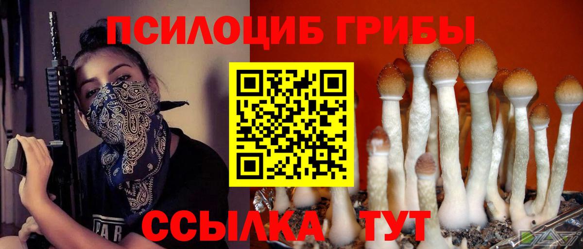 Псилоцибиновые грибы Psilocybe  Вход с VPN  Донской 